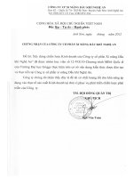 Building business strategy for 12-9 Petrovietnam Cement Joint Stock Company in period of 2010-2020