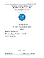 Bài tập lớn số 1 Tính hệ thanh tĩnh định