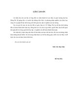 Hoàn thiện hệ thống tiền lương tại các doanh nghiệp vừa và nhỏ ở Việt Nam hiện nay