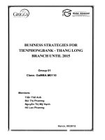 Busines strategies for Tien Phong Bank - Thang Long branch until 2015