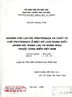 Nghiên cứu lectin, Proteinaza và chất ức chế Proteinaza ở một số loài rong biển (Rong đỏ, rong lục, rong nâu) thuộc vùng biển Việt Nam