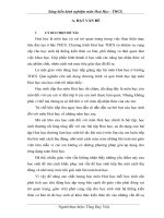 SKKN một số phương pháp  giúp học sinh giải nhanh các bài toán hoá học ở trường THCS