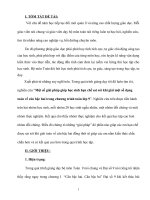 SKKN Một số giải pháp giúp học sinh hạn chế sai sót khi giải một số dạng toán về căn bậc hai trong chương trình toán lớp 9