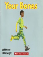 Bài tiếng anh viết về xương (02 your bones )