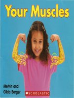 Bài viết tiếng anh nói về cơ (03 your muscles)
