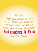 Hãy nêu giá trị hiện thực và giá trị nhân đạo trong tác phẩm Vợ chồng A Phủ