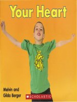 Bài tiếng anh viết về Tim (04 your heart )