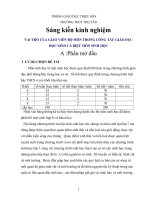 SKKN VAI TRÒ CỦA GIÁO VIÊN BỘ MÔN TRONG CÔNG TÁC GIÁO DỤC HỌC SINH CÁ BIỆT MÔN SINH HỌC