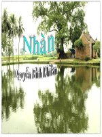 bài giảng- bài thơ Nhàn của nguyễn bỉnh khiêm