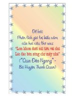 Phân tích hai câu thơ trong tác phẩm Qua Đèo Ngang của Bà Huyện Thanh Quan