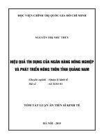 Hiệu quả tín dụng của ngân hàng nông nghiệp và phát triển nông thôn tỉnh quảng nam (tóm tắt)
