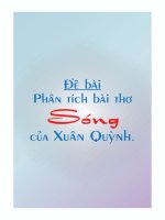 Phân tích bài thơ Sóng của Xuân Quỳnh
