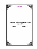 bao cao trồng rừng kết hợp nuoi cua biển luận văn đồ an đề tai tốt nghiệp