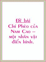 Phân tích nhân vật Chí Phèo của Nam Cao