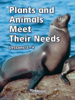 bài tiếng anh Plants and animals meet their needs 2