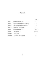 SKKN phương pháp dạy một bài thực hành hoá học thuộc chương trình môn Hoá học lớp 9