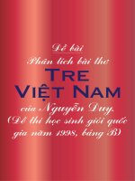 Phân tích bài Tre Việt Nam của Nguyễn Duy