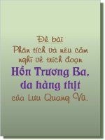 Phân tích và nêu cảm nghĩ về đoạn trích Hồn Trương Ba Da Hàng Thịt