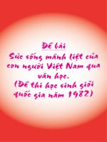 Sức sống mãnh liệt của con người Việt Nam qua Văn học