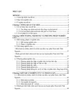 Đánh giá tình hình chăn nuôi lợn tại các huyện phía nam tỉnh Thái Nguyên