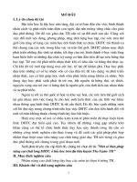 Một số biện pháp nâng cao chất lượng dạy học tự chọn ở tiểu học trên địa bàn huyện Thọ Xuân - Thanh Hoá_Tóm tắt luận văn thạc sĩ giáo dục