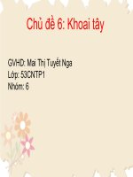 Chủ đề 6: Khoai tây