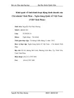 Khái quát về tình hình hoạt động kinh doanh của Chi nhánh Vĩnh Phúc  Ngân hàng Quốc tế Việt Nam (VIB Vĩnh Phúc)