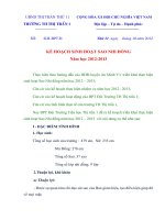 Kế hoạch sao nhi đồng ở trường Tiểu học