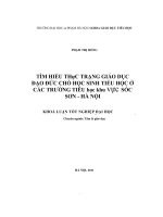 Tìm hiểu thực trạng giáo dục đạo đức cho học sinh tiểu học ở các trường tiểu học khu vực Sóc Sơn - Hà Nội
