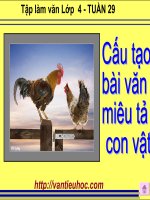 Cấu tạo bài văn miêu  tả con vật tập làm văn lớp 4 tuần 29