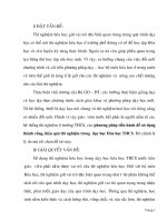 SKKN phương pháp tiến hành để sử dụng thành công, hiệu quả thí nghiệm trong  dạy học Hóa học THCS