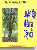 Luyện tập miêu tả cây cối tập làm văn lớp 4