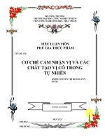 cơ chế cảm nhận vị và các chất tạo vị có trong tự nhiên