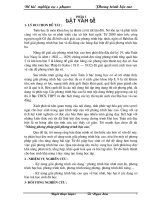 Một số dạng bài toán về PT bậc cao_SKKN THCS