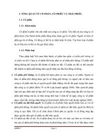 Phân biệt cổ phần và cổ phiếu, trái phiếu và cổ phiếu, các loại cổ phần