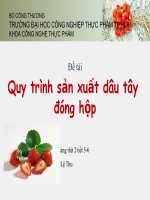 Quy trình sản xuất dâu tây đóng hộp