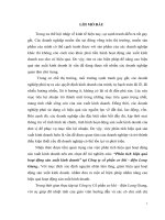 Phân tích hiệu quả hoạt động sản xuất kinh doanh tại Công ty cổ phần cơ khí  điện Long Giang