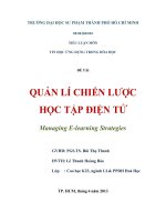 TIỂU LUẬN HÓA - TIN QUẢN LÍ CHIẾN LƯỢC HỌC TẬP ĐIỆN TỬ