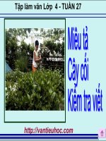 Miêu tả cây cối tập làm văn lớp 4