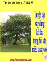 Luyện tập xây dựng kết bài trong bài văn miêu tả cây cối tập làm văn lớp 4 tuần 26