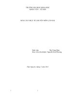 Báo cáo thực tế thực hiện các nhiệm vụ văn phòng