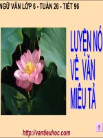 Ngữ văn 6 tiết 96 luyện nói về văn miêu tả