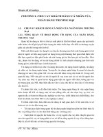 GiảI pháp mở rộng cho vay khách hàng cá nhân tại NHTM á Châu, chi nhánh Hà Nội