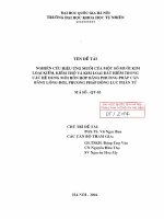 Nghiên cứu hiệu ứng muối của một số muối kim loại kiềm, kiềm thổ và kim loại đất hiếm trong các hệ dung môi hỗn hợp bằng phương pháp cân bằng lỏng - hơi, phương pháp động lực phân tử