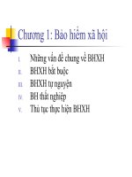 Slide môn luật lao động (ngoài ngành): Chương 1: Bảo hiểm xã hội