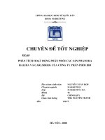 PHÂN TÍCH HOẠT ĐỘNG PHÂN PHỐI CÁC SẢN PHẨM BIA HALIDA VÀ CARLSBERG CỦA CÔNG TY PHÂN PHỐI IBD