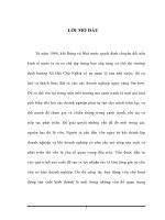 Các giảI pháp huy động vốn nhằm đáp ứng nhu cầu đầu tư và phát triển tại công ty cổ phần xây dựng nhà và đô thị tỉnh Bắc Giang