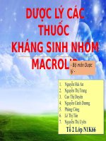 dược lý các thuốc kháng sinh nhóm macrolid