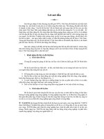 Đề tài Một số giải pháp cho vấn đề đô thị hóa ở Việt Nam