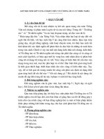 SKKN GIÚP HỌC SINH LỚP 5 CỦNG CỐ KIẾN THỨC VỀ TỪ ĐỒNG ÂM VÀ TỪ NHIỀU NGHĨA